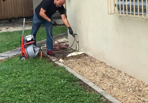 1omega drain services