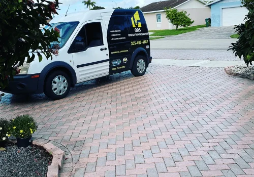omega drain cleaning